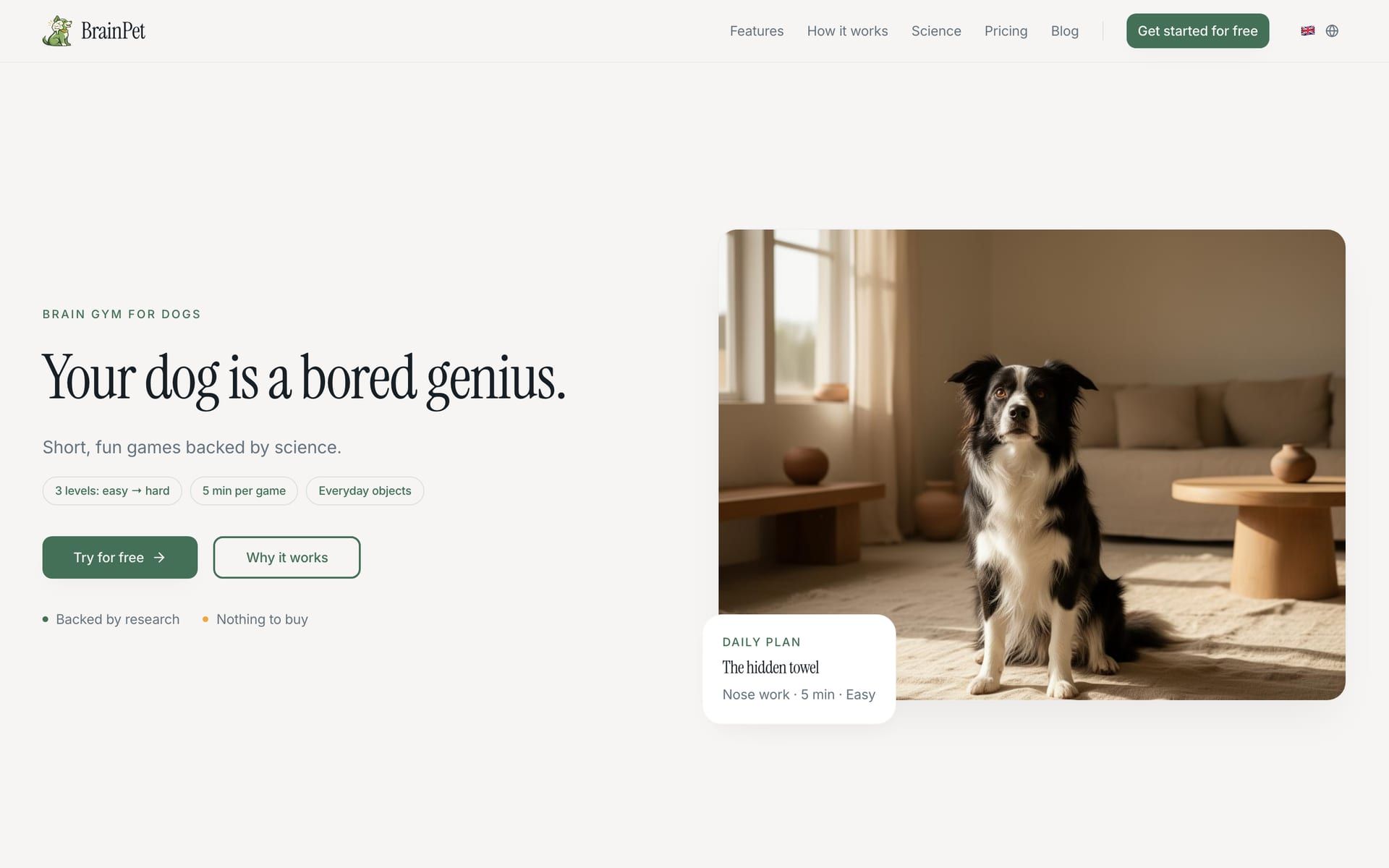 La page d’accueil de BrainPet sur ordinateur : un border collie assis dans un salon, à côté du titre « Your dog is a bored genius. »